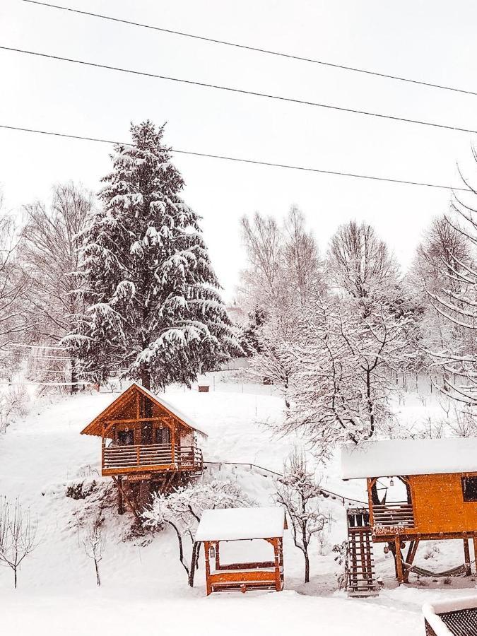 Domeniul Horj Casa Din Deal Moisei Exterior foto